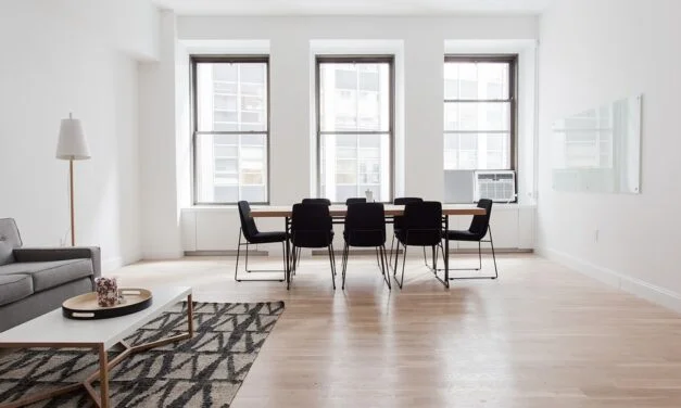 3 gode råd til at finde billige spisebordsstole